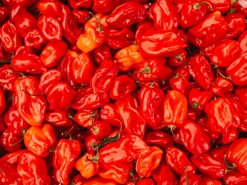 Spicy Italian primos hoagie with hot peppers